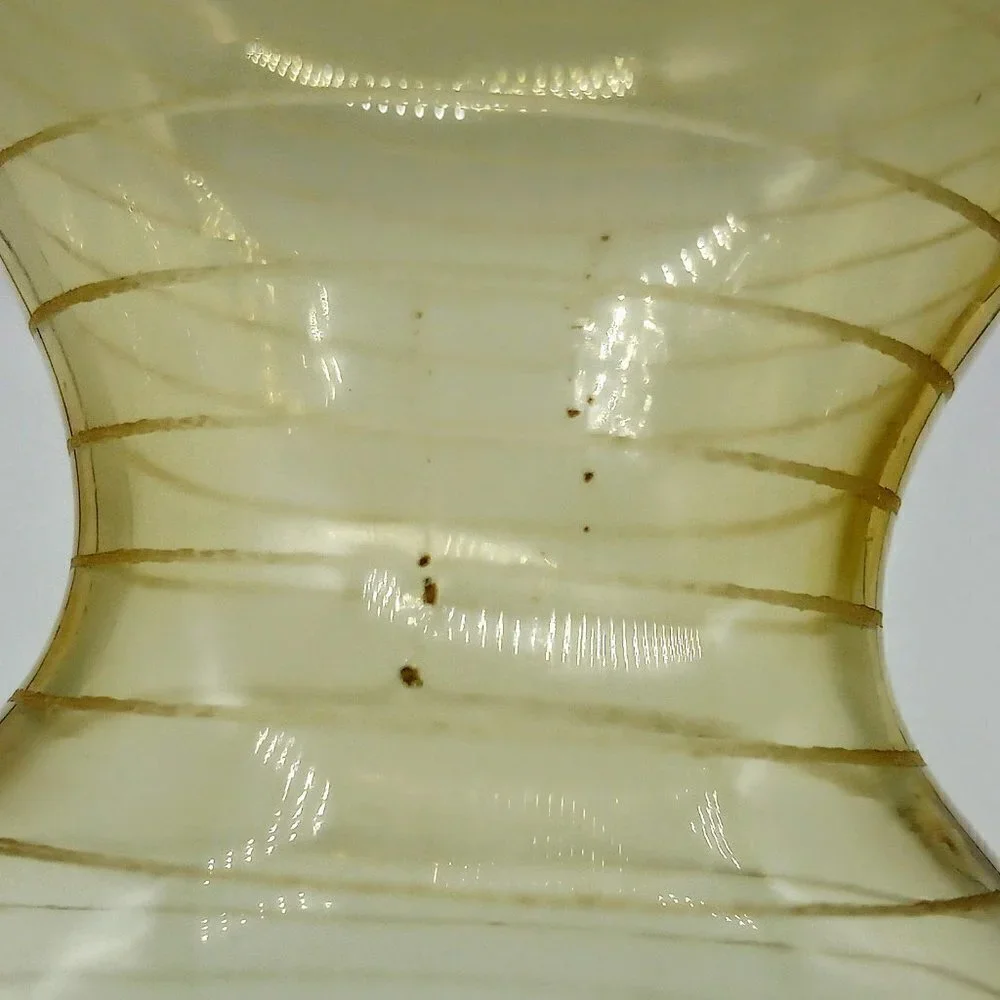 Studio Nova Amber Ribbon Bubble Glass Vase Collection NWT